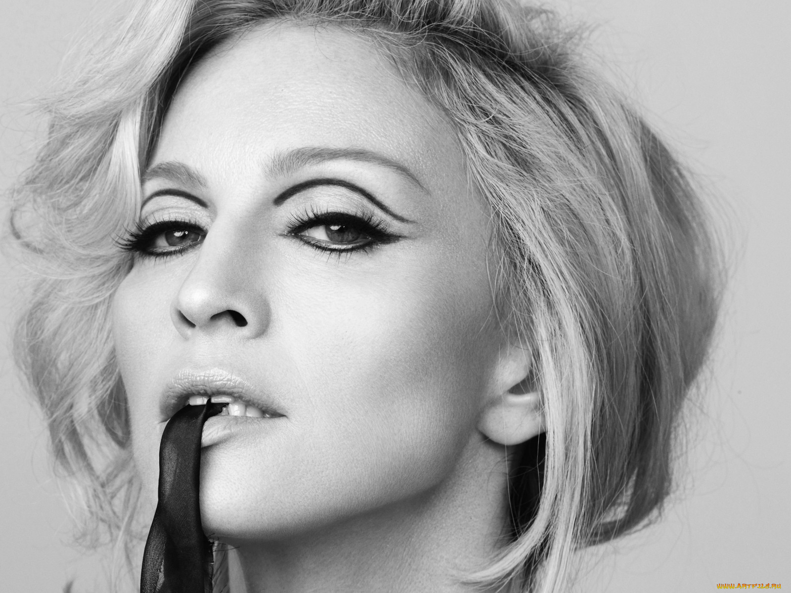 , madonna, , 